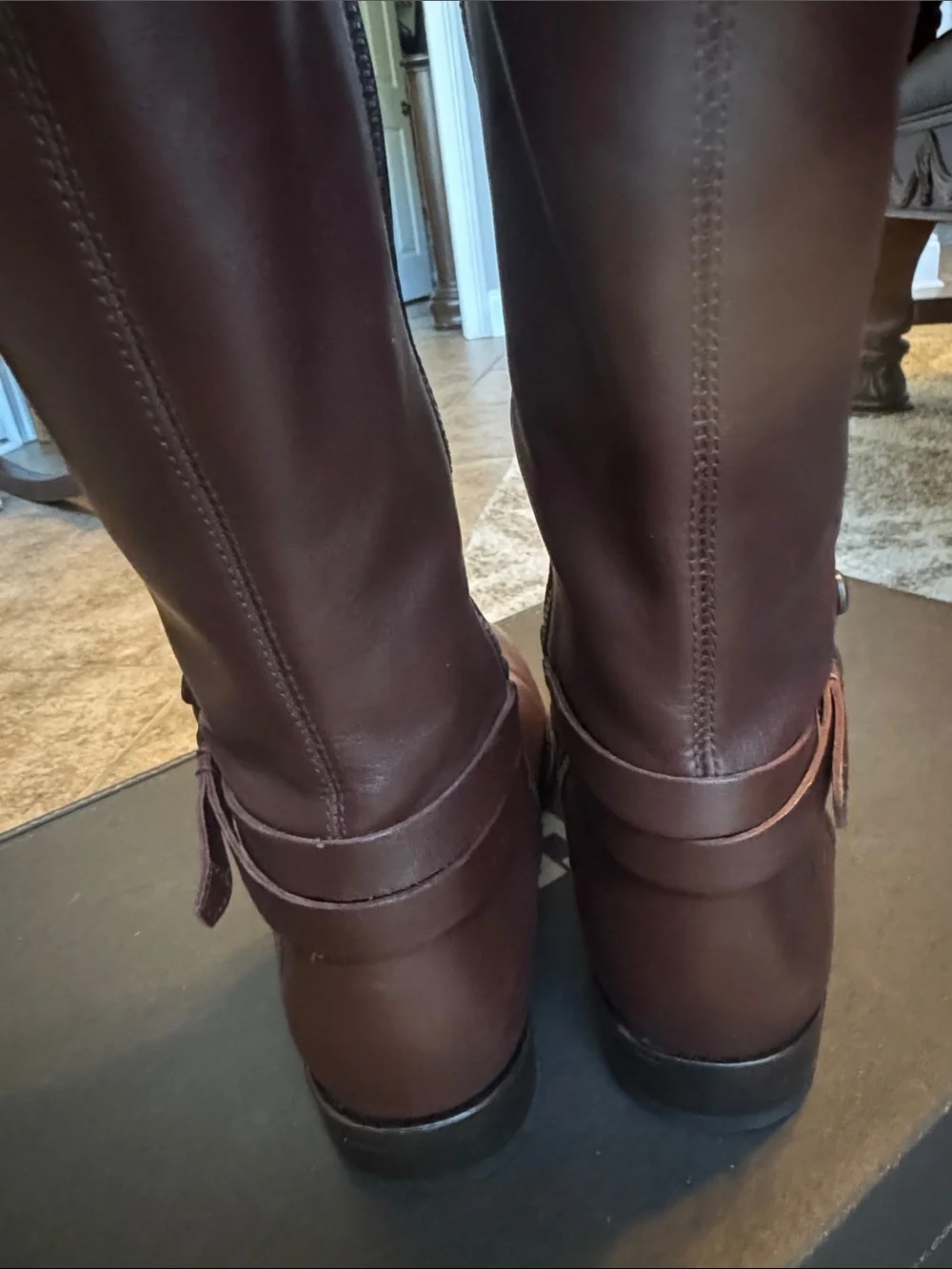 Frye Women's Melissa Belted Tall Riding Boots in Dark Brown Leather